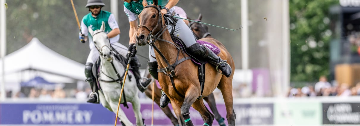 polo-in-the-park-2027 polo-in-the-park-2027 2