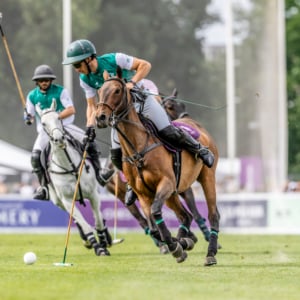 Chestertons Polo in the Park