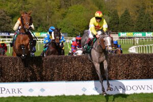 Bet365 Jump Finale Day Sandown Hospitality - Bet365 Jump Finale Day