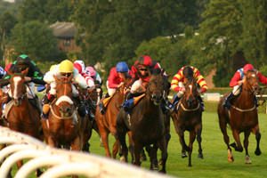 Coral Eclipse Day Sandown Hospitality - Coral Eclipse