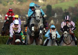 Cheltenham Hospitality - The November Meeting - Cheltenham Racecourse
