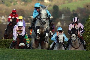 The November Meeting Cheltenham Hospitality - The November Meeting - Cheltenham Racecourse