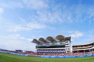 Newmarket Hospitality Newmarket Racecourse - Corporate Hospitality Packages and VIP tickets - Horse Racing