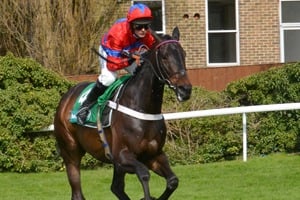 Ladies Day Cheltenham Festival Hospitality 2018 - Ladies Day - Cheltenham Racecourse