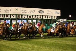 Dubai World Cup Dubai World Cup - Corporate Hospitality Packages - Meydan Racecourse