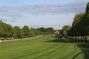The Moët & Chandon July Festival The July Festival - Newmarket Racecourse - Corporate Hospitality Packages & VIP Tickets