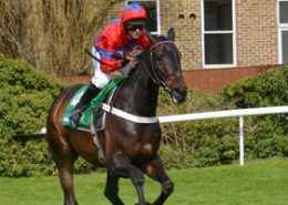 Cheltenham Showcase Meeting Hospitality 2018 - VIP Packages