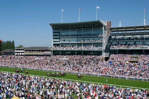 York Dante Festival 2025, York Racecourse - Ebor Restaurant - Knavesmire Stand Hospitality - Horse Racing
