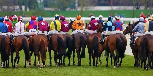 Cheltenham Showcase Meeting 2025 - Cheltenham Racecourse - Private Grandstand Box - Horse Racing