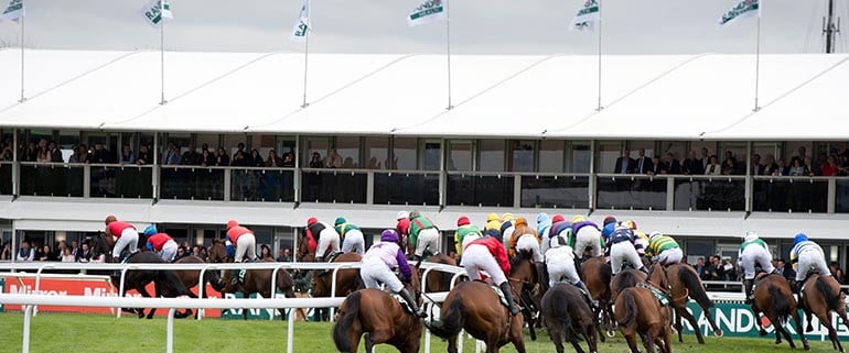 Dame Judi Dench to enter Grand National Runner Runners at Aintree Racecourse