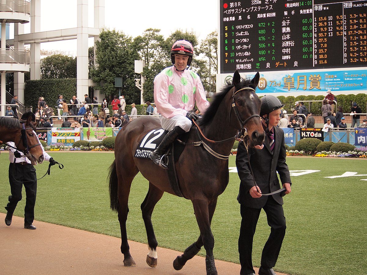 Ruby Walsh at Cheltenham Festival