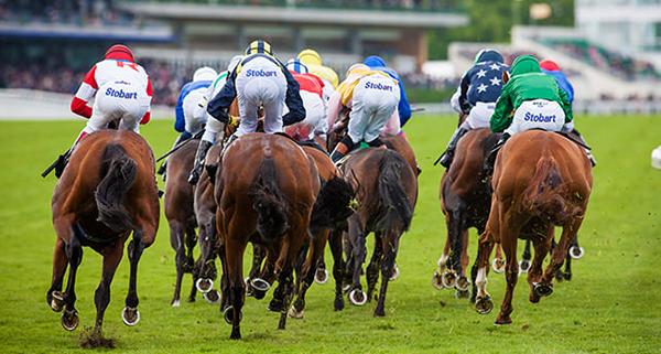 Royal Ascot 2019: Betting Guide Royal Ascot Runners and Riders