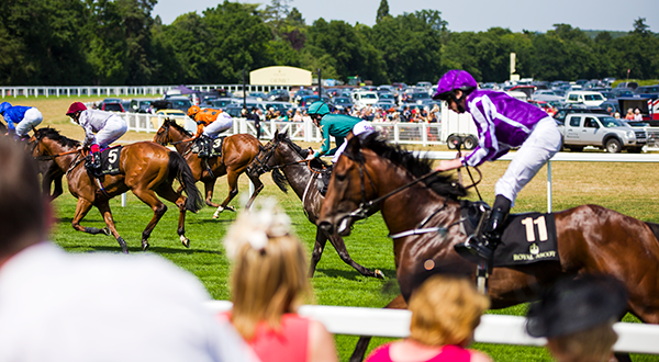 Royal Ascot Runners Royal Ascot Runners