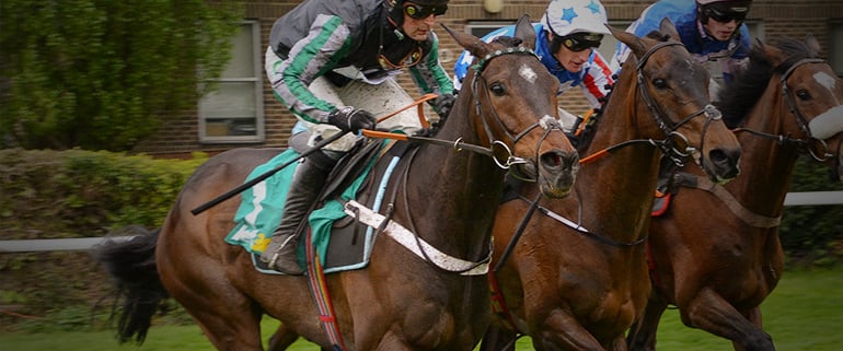 Altior to be ridden by Nico De Boinville at Cheltenham Altior Horse Racing