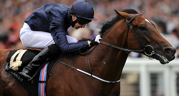 Ascot Races: Your Guide to 2019 Royal Ascot Runner