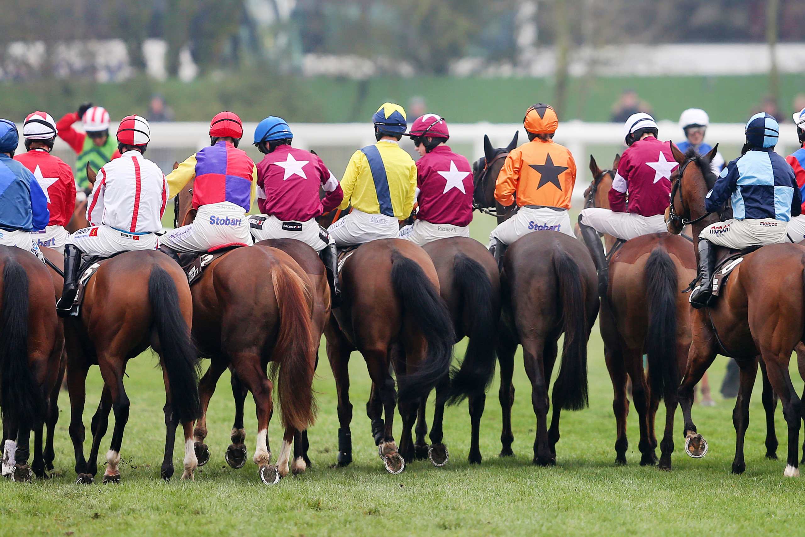 Cheltenham Festival Runners and Riders Lining Up