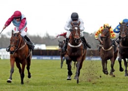 Horses Racing to Glory