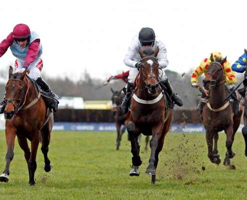 Horses Racing to Glory