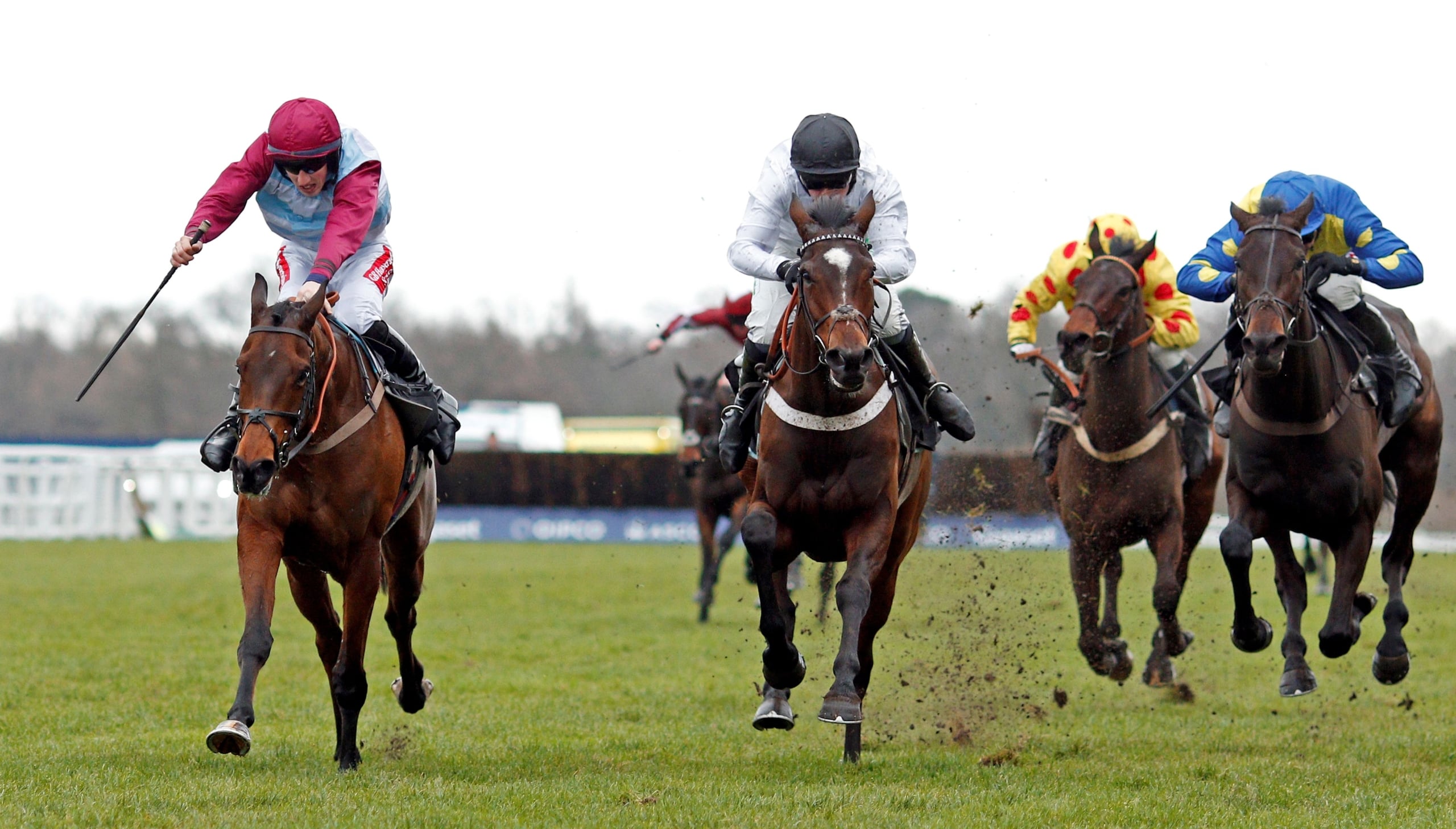 Horses Racing to Glory