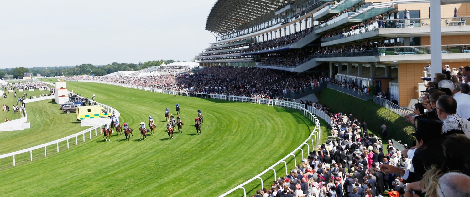 The Gallery - Queen Anne Enclosure Royal Ascot 2024 at Ascot Racecourse