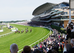 The Gallery - Queen Anne Enclosure Royal Ascot 2024 at Ascot Racecourse