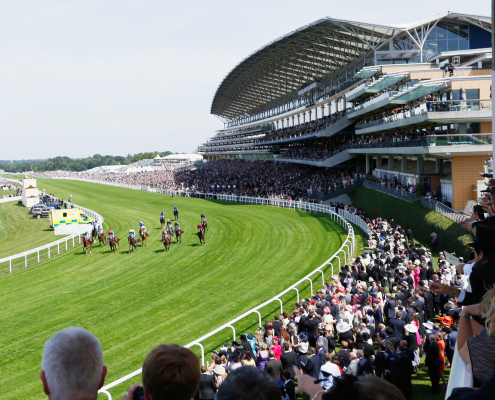 Horses racing on ascot racecourse