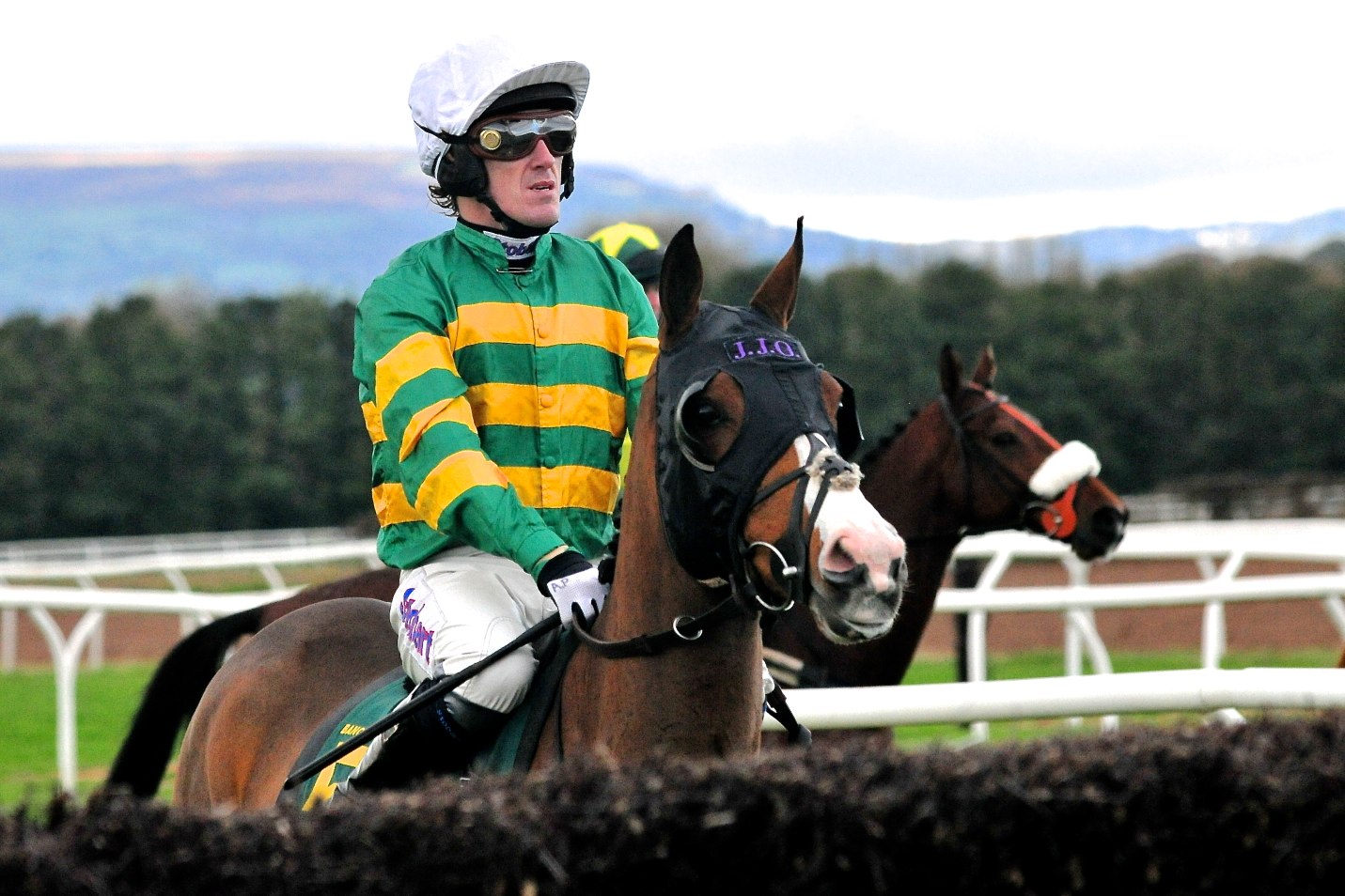 Tony McCoy at Cheltenham Festival