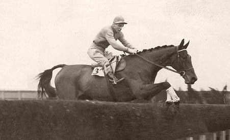 Golden Miller - Cheltenham Gold Cup Winner