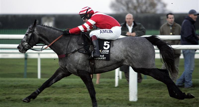 Richard Johnson - Cheltenham Festival