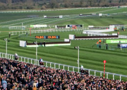 Cheltenham Festival Crowds