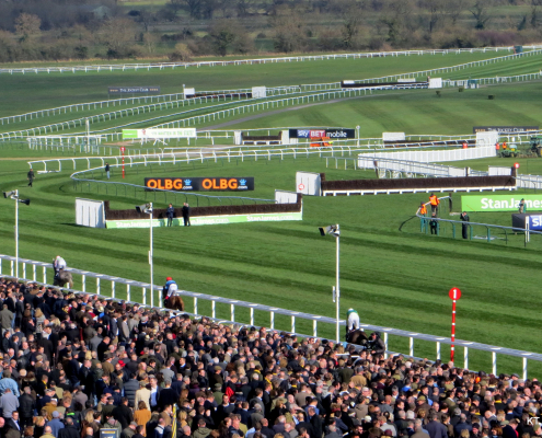Cheltenham Festival Crowds