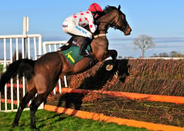 Grand National Runner Jumping an Obstacle
