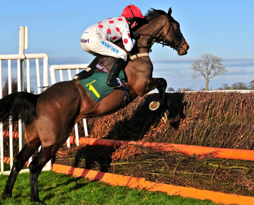 Grand National Runner Jumping an Obstacle