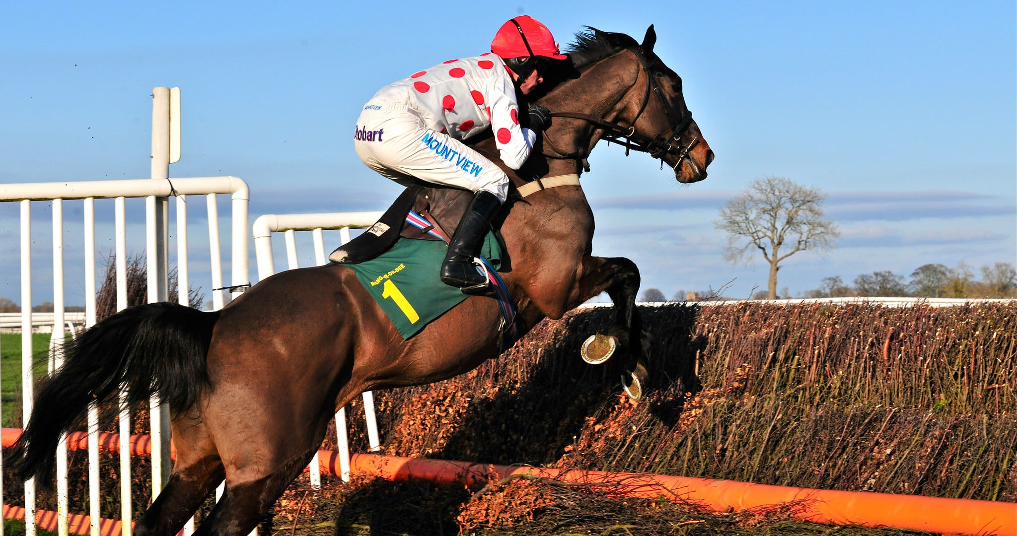 Grand National Runner Jumping an Obstacle