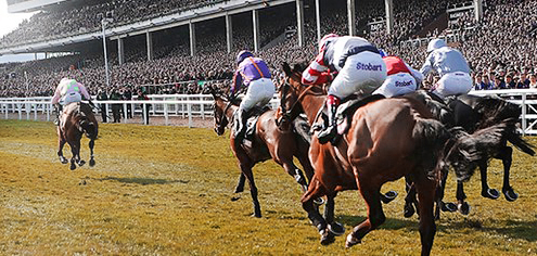 cheltenham festival 2021