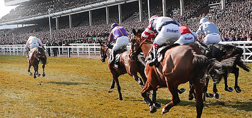 cheltenham festival 2021