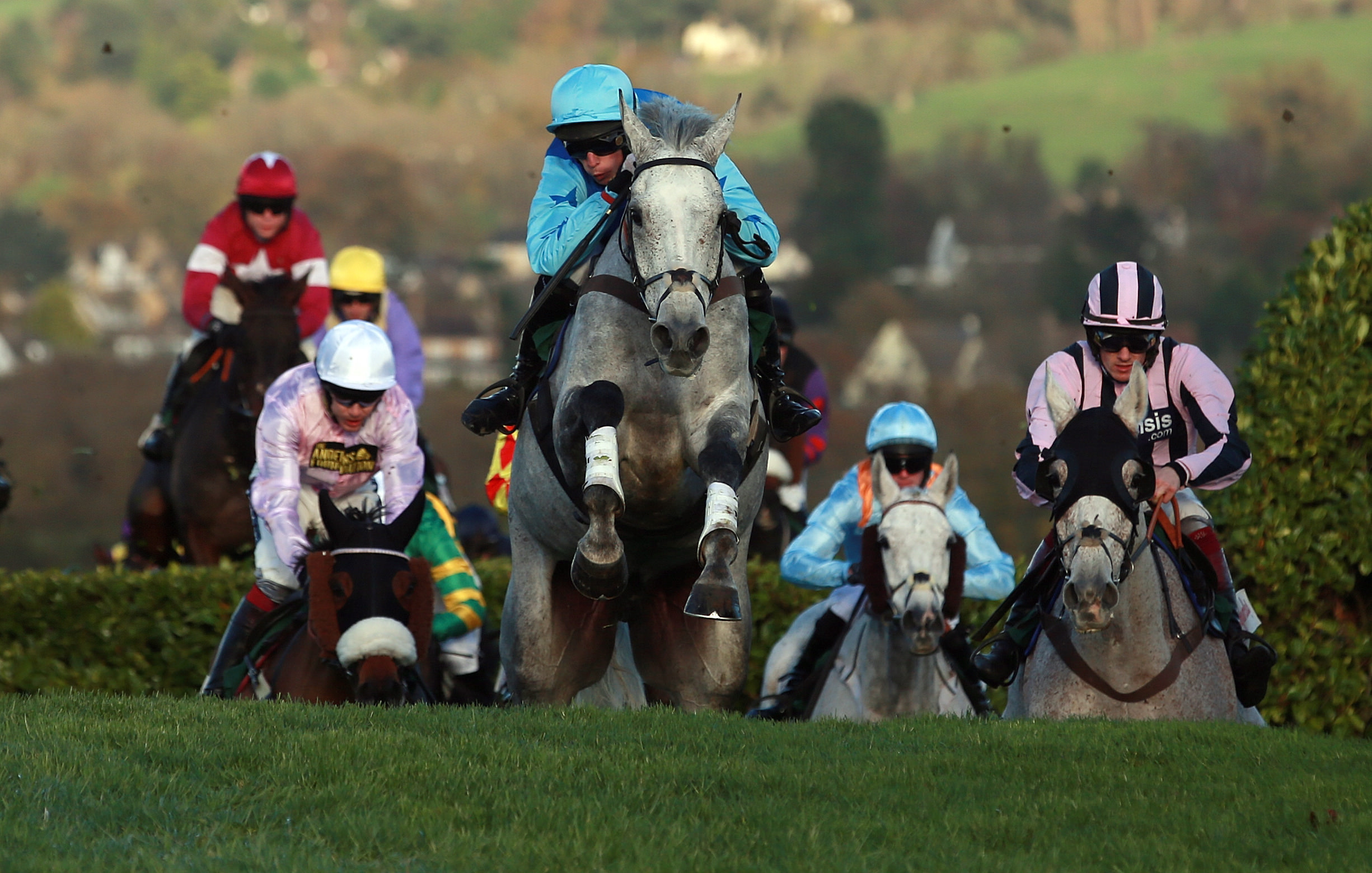 Cheltenham Festival horse racing action