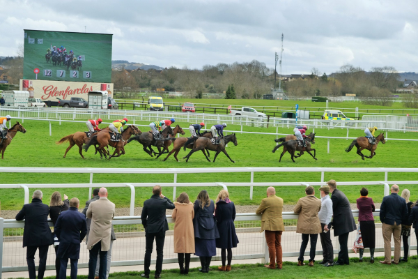 Horses Running Down the Home Straight at Cheltenham Festival