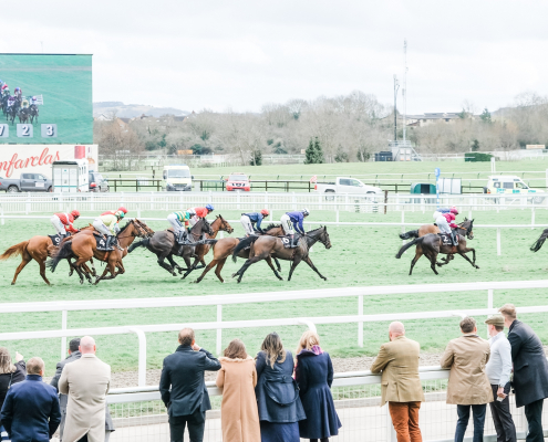cheltenham racecourse