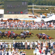 Horse Racing Horse Racing
