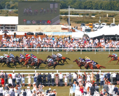 Horse Racing