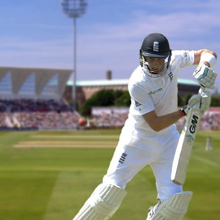 cricket cricket