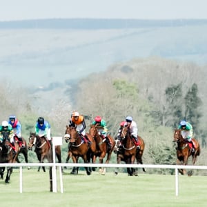 Punchestown Festival 2024 - Punchestown Racecourse, Punchestown Pavilion - Punchestown Champion Hurdle Day, Horse Racing