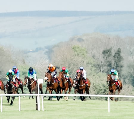 Punchestown Festival 2026 - Punchestown Racecourse, Punchestown Pavilion - Punchestown Champion Hurdle Day, Horse Racing