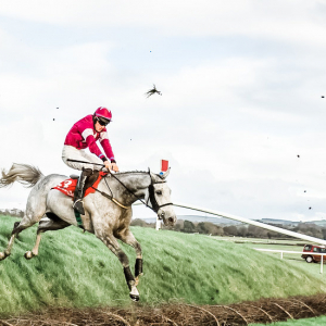 Punchestown Festival 2024 - Punchestown Racecourse, Punchestown Pavilion - Champion Chase Day, Horse Racing