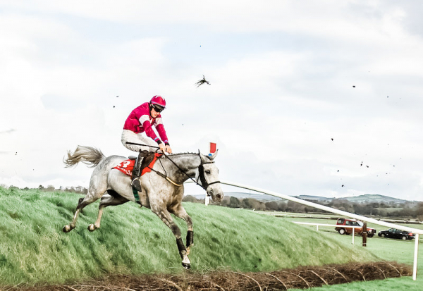 Punchestown Festival 2024 - Punchestown Racecourse, Punchestown Pavilion - Champion Chase Day, Horse Racing
