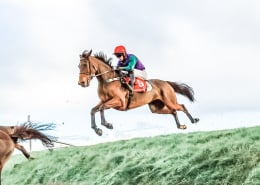 Punchestown Festival 2026 - Punchestown Racecourse, Punchestown Pavilion - Champion Stayers Hurdle Day, Horse Racing