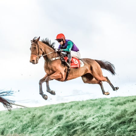 Punchestown Festival 2026 - Punchestown Racecourse, Punchestown Pavilion - Champion Stayers Hurdle Day, Horse Racing