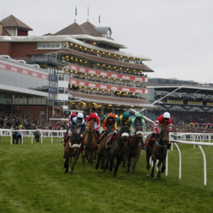 Coral Gold Cup Day 2025 - Newbury Racecourse Hospitality - Horse Racing