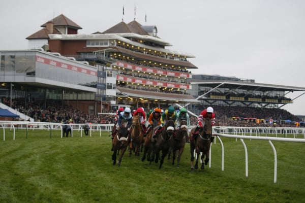 Coral Gold Cup Day 2023 - Newbury Racecourse Hospitality - Horse Racing